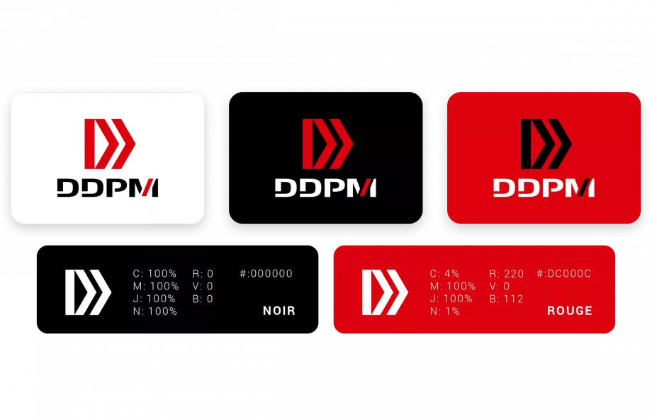 Charte graphique DDPM avec palette de couleurs et déclinaisons du logo réalisée en Île-de-France pour une société digitale