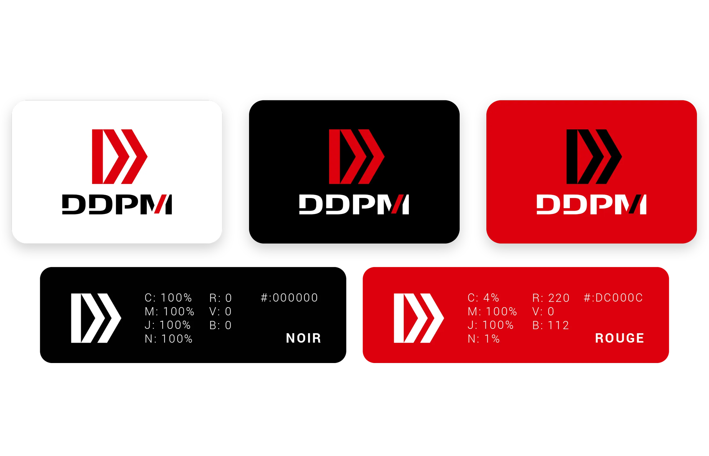 Charte graphique DDPM avec palette de couleurs et déclinaisons du logo réalisée en Île-de-France pour une société digitale